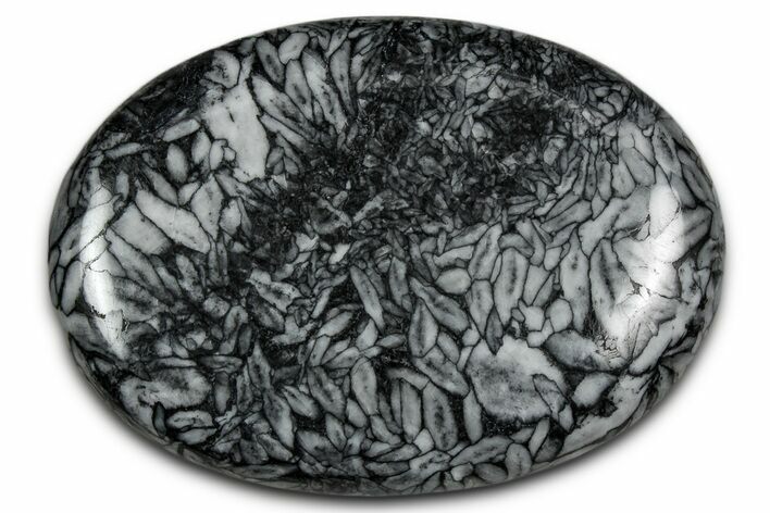 Polished Pinolite Palm Stone - Austria #343887